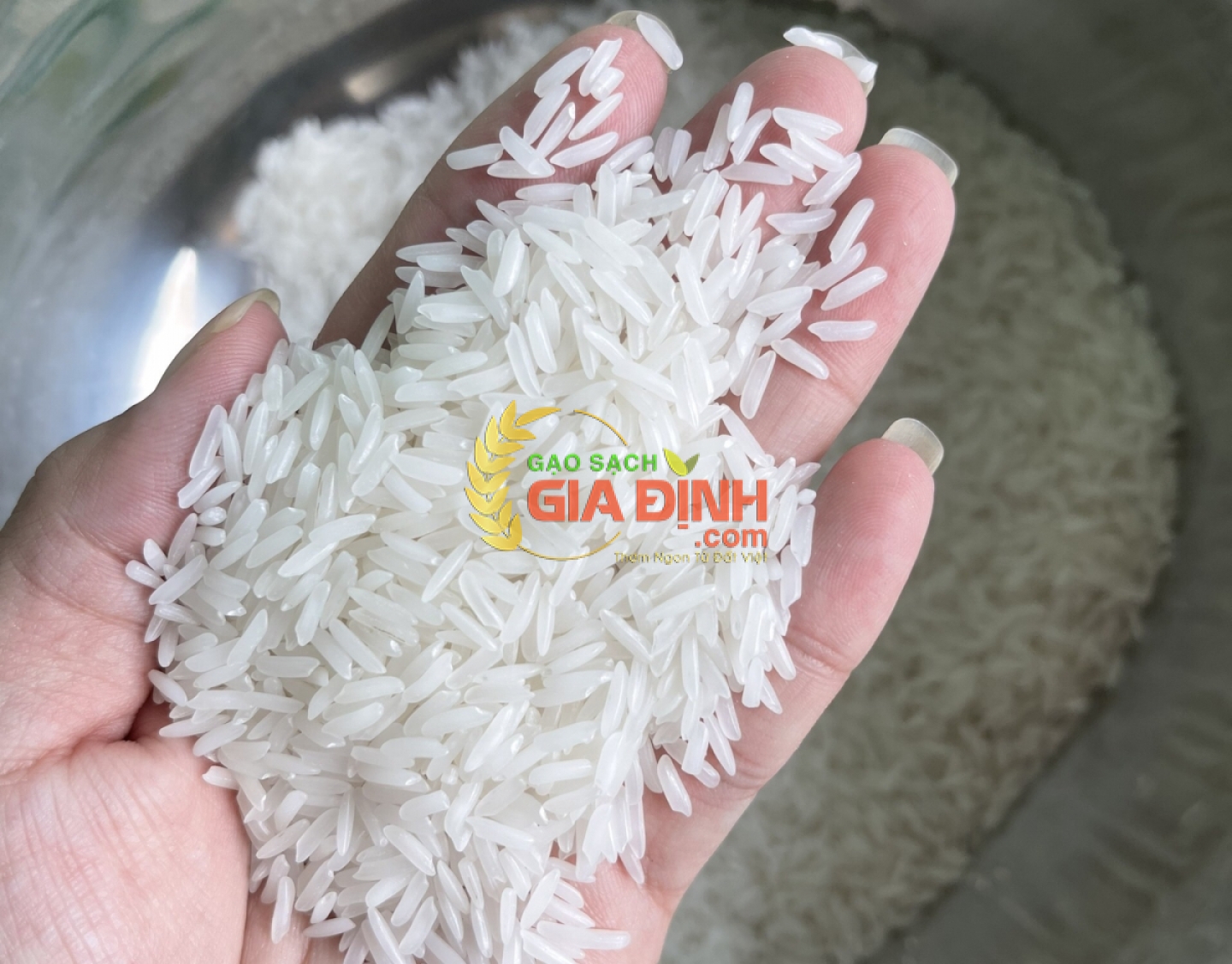Gạo Lài Miên Combodia
